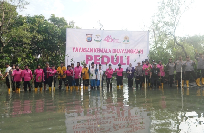 Keterangan foto: Penanaman mangrove oleh YKB Tanjung Perak di pesisir Greges, Surabaya.