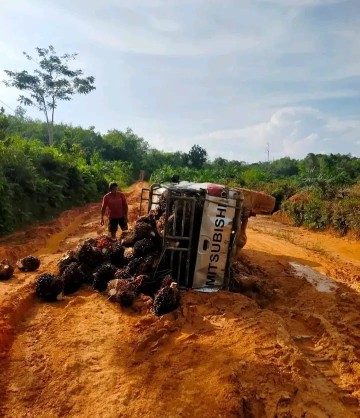 Kendaraan pengangkut sawit terguling akibat jalan rusak dan berlumpur di Kabupaten Sintang.
