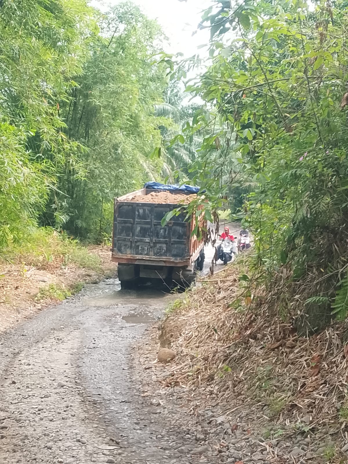 Truk pengangkut tanah timbun diduga dari galian ilegal keluar masuk proyek PIC di Deli Serdang.