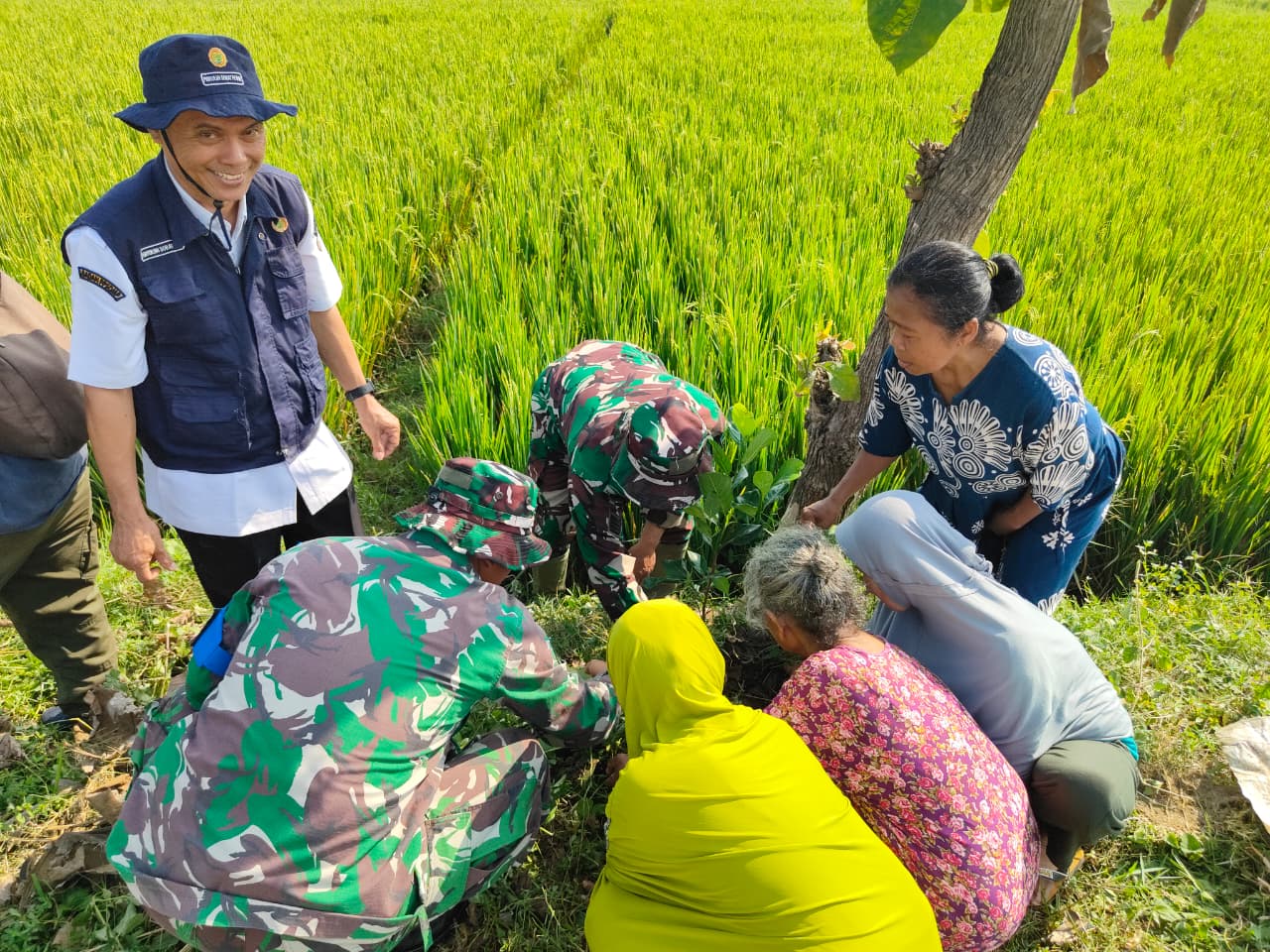 Satgas TMMD Kodim 0725/Sragen bersama warga menanam 500 pohon buah di Desa Pelemgadung sebagai upaya mewujudkan lingkungan desa yang hijau dan berkelanjutan.